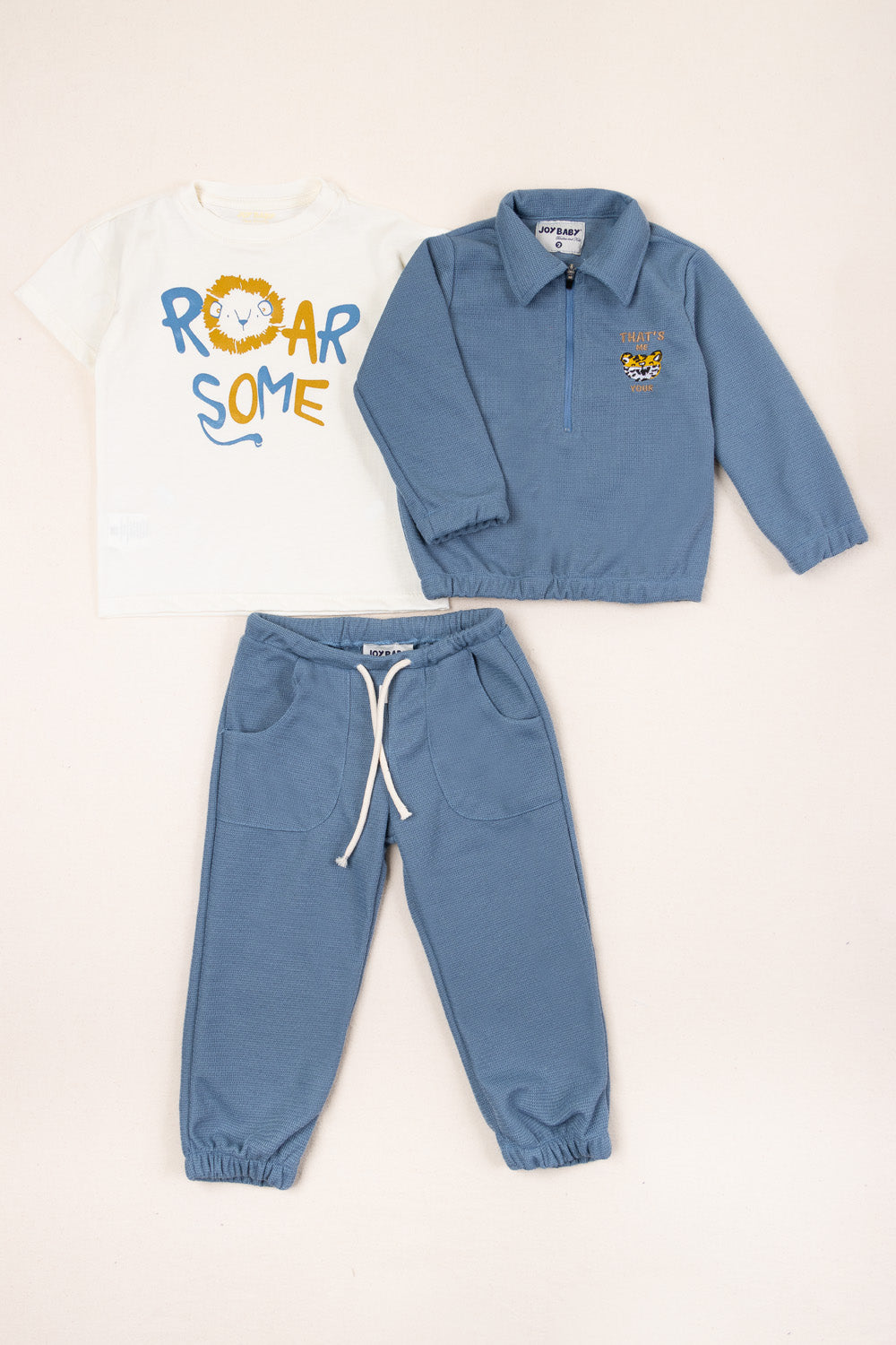 CONJUNTO DEPORTIVO NIÑO ROAR AZUL