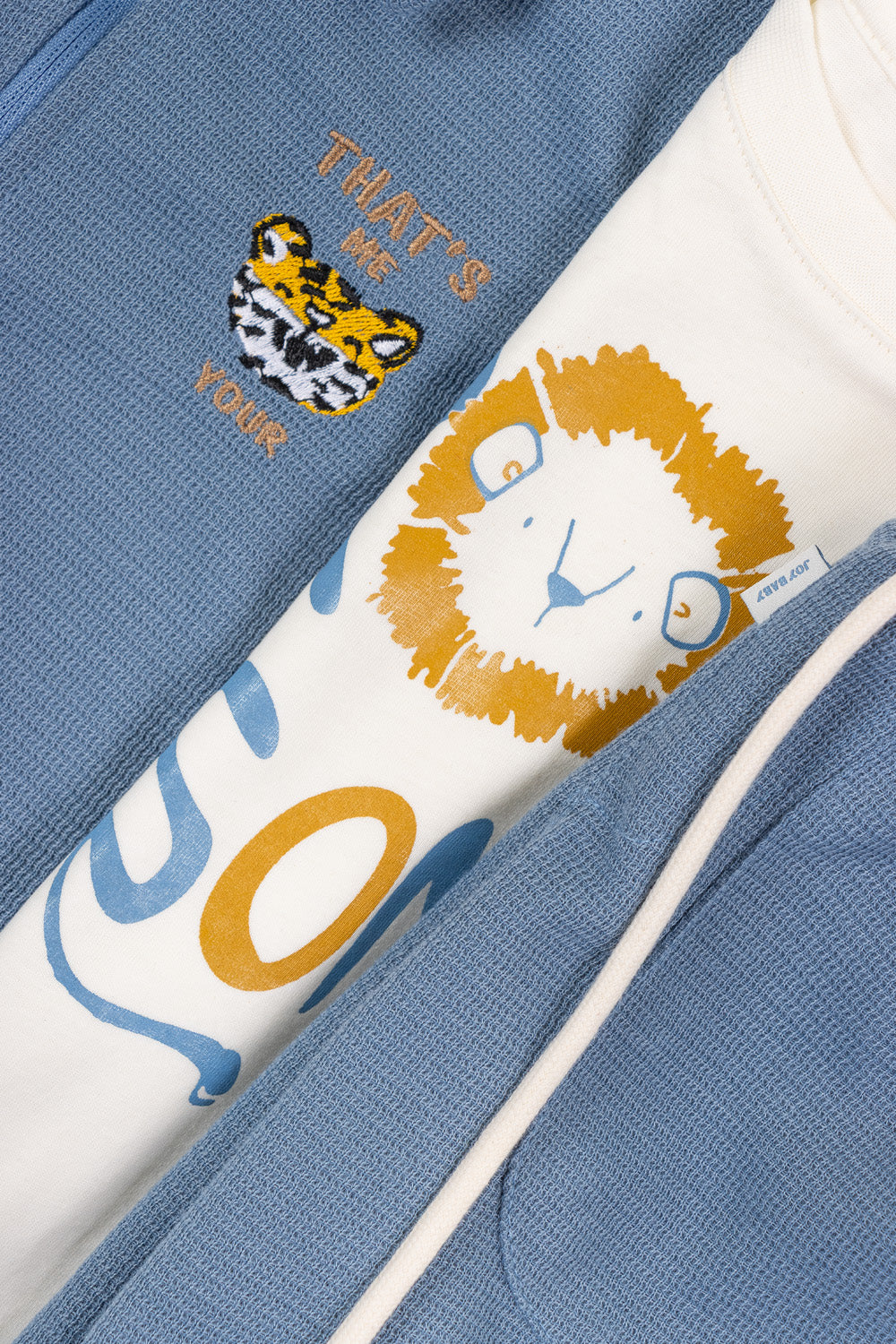 CONJUNTO DEPORTIVO NIÑO ROAR AZUL